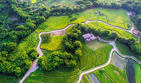 從化農(nóng)耕田緣休閑農(nóng)業(yè)、旅游信息化建設項目